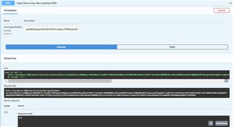RSA Encryption and Decryption in .NET Core and Framework .